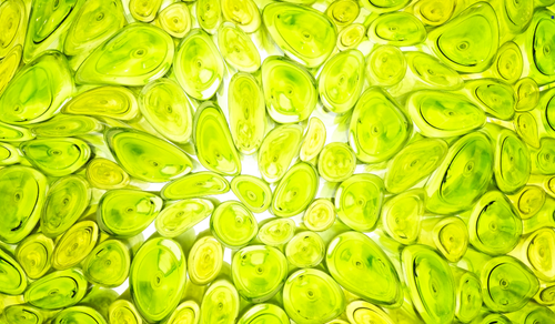 Scopri il Futuro della Bellezza Introduzione agli Ingredienti Biotech Avanzati